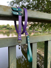 Load image into Gallery viewer, Hunter Dog Leash