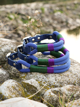 Görseli Galeri görüntüleyiciye yükleyin, Drake Köpek Tasması