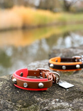 Görseli Galeri görüntüleyiciye yükleyin, Karma Köpek Tasması