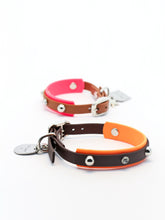 Görseli Galeri görüntüleyiciye yükleyin, Karma Köpek Tasması