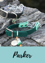 Görseli Galeri görüntüleyiciye yükleyin, Parker Martingal Köpek Tasması