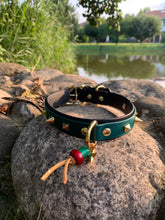 Görseli Galeri görüntüleyiciye yükleyin, Trooper Köpek Tasması