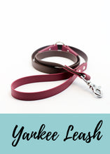 Görseli Galeri görüntüleyiciye yükleyin, The Morning Cloud Köpek Tasmaları Kaliteli Kayışlar Deri Su Itici Dog Collars Leashes