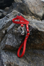 Load image into Gallery viewer, Kody Dog Leash
