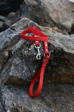 Görseli Galeri görüntüleyiciye yükleyin, Kody Gezdirme Kayışı