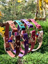 Görseli Galeri görüntüleyiciye yükleyin, Yankee Köpek Tasması