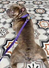 Load image into Gallery viewer, Hunter Dog Leash
