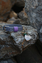 Load image into Gallery viewer, Hunter Small Dog Collar
