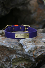 Load image into Gallery viewer, Hunter Large Dog Collar
