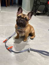 Load image into Gallery viewer, Hunter Dog Leash
