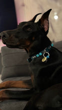 Load image into Gallery viewer, Odin Large Dog Collar
