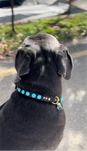 Load image into Gallery viewer, Odin Large Dog Collar
