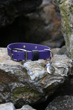 Load image into Gallery viewer, Hunter Large Dog Collar
