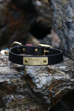 Load image into Gallery viewer, Hunter Large Dog Collar
