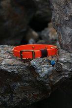 Load image into Gallery viewer, Hunter Small Dog Collar
