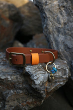 Load image into Gallery viewer, Hunter Large Dog Collar
