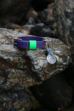 Load image into Gallery viewer, Hunter Small Dog Collar
