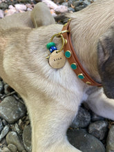 Load image into Gallery viewer, Amore Small Dog Collar
