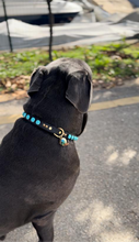 Load image into Gallery viewer, Odin Large Dog Collar
