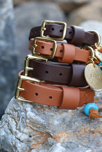 Load image into Gallery viewer, Hunter Mini Dog Collar
