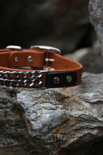 Load image into Gallery viewer, Boss Dog Collar
