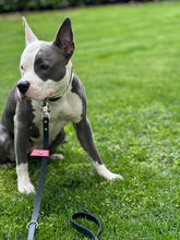 Load image into Gallery viewer, Hunter Dog Leash
