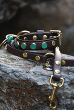 Görseli Galeri görüntüleyiciye yükleyin, Amore Köpek Tasması
