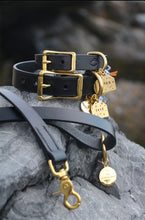Load image into Gallery viewer, Remington Dog Leash
