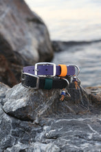 Load image into Gallery viewer, Hunter Large Dog Collar
