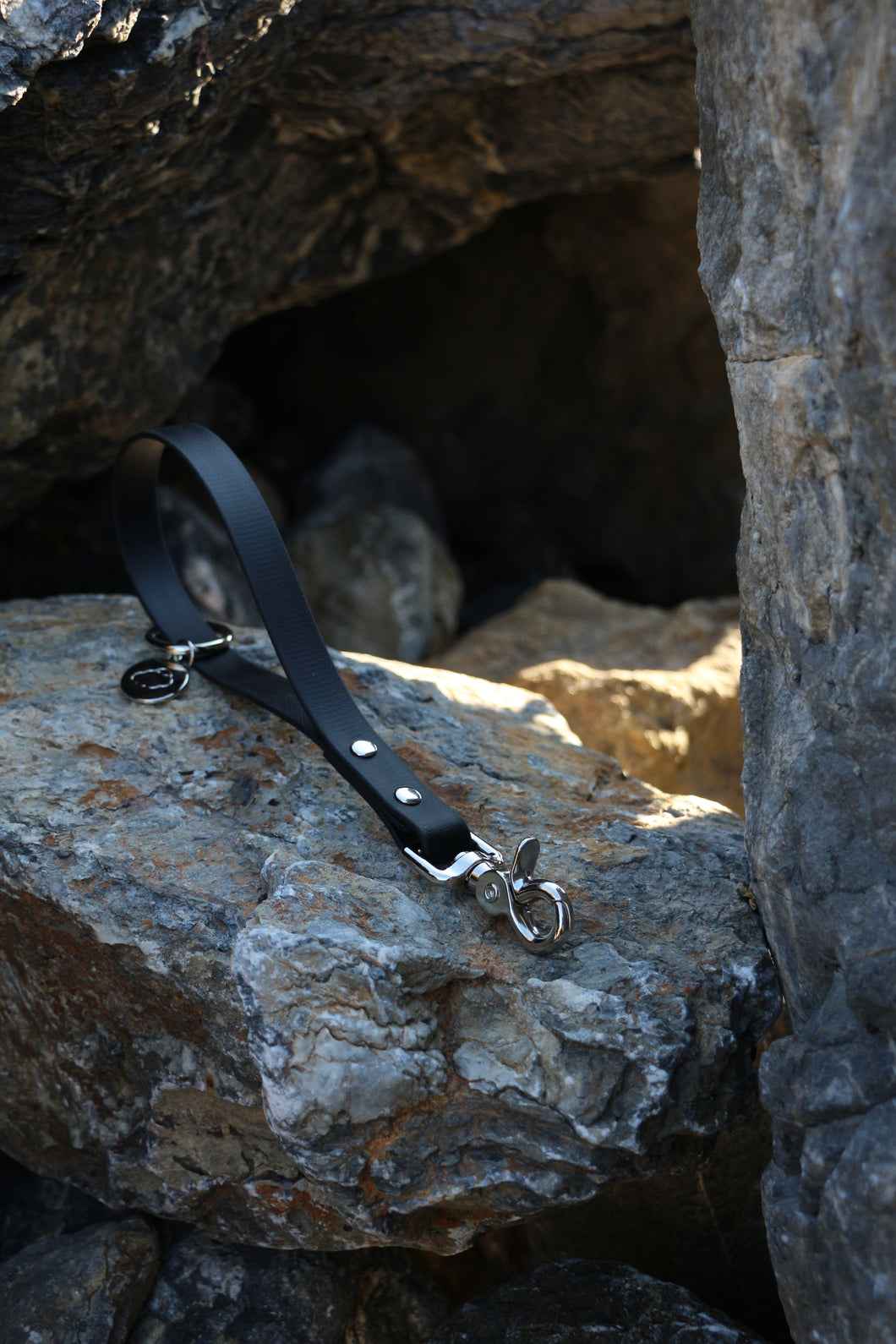 Ivy Training Dog Leash