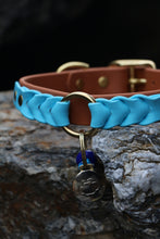 Load image into Gallery viewer, Ranger Large Dog Collar
