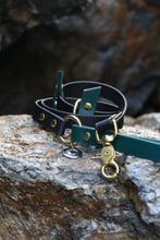 Load image into Gallery viewer, Hunter Dog Leash
