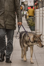 Load image into Gallery viewer, Hunter Dog Leash
