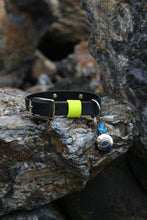 Load image into Gallery viewer, Hunter Small Dog Collar
