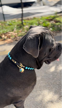 Load image into Gallery viewer, Odin Large Dog Collar
