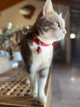 Görseli Galeri görüntüleyiciye yükleyin, Marley
