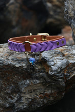 Load image into Gallery viewer, Ranger Large Dog Collar
