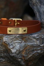 Load image into Gallery viewer, Hunter Large Dog Collar
