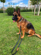 Load image into Gallery viewer, Rocky Euro Dog Leash
