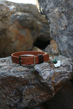 Load image into Gallery viewer, Hunter Large Dog Collar
