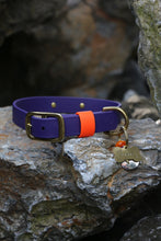Load image into Gallery viewer, Hunter Large Dog Collar
