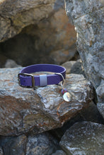 Load image into Gallery viewer, Hunter Large Dog Collar
