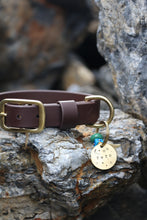 Görseli Galeri görüntüleyiciye yükleyin, Hunter Büyük Köpek Tasması
