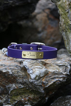 Load image into Gallery viewer, Hunter Large Dog Collar
