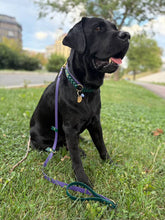 Load image into Gallery viewer, Hunter Dog Leash
