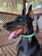 Load image into Gallery viewer, Merlot Large Dog Collar
