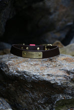 Load image into Gallery viewer, Hunter Large Dog Collar
