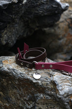 Load image into Gallery viewer, Hunter Dog Leash
