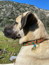 Load image into Gallery viewer, Amore Small Dog Collar
