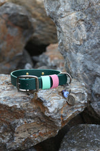 Load image into Gallery viewer, Hunter Large Dog Collar
